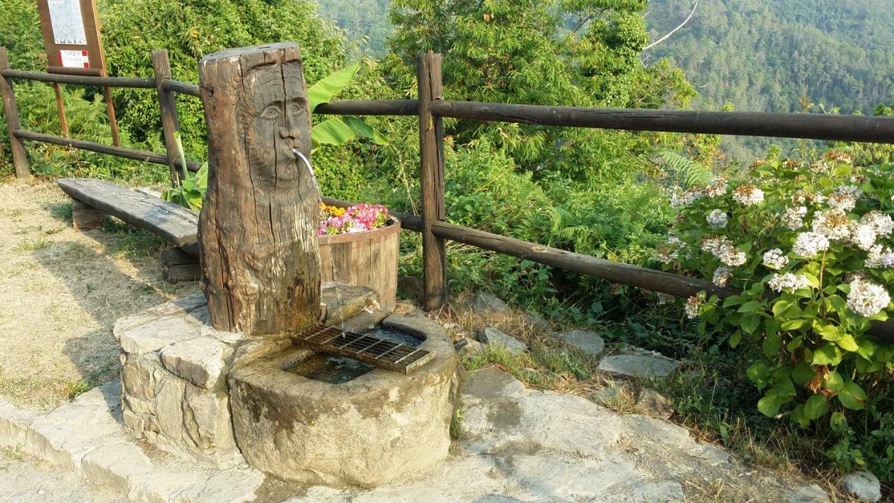 Aia Dei Limoni Villa Tivegna ภายนอก รูปภาพ